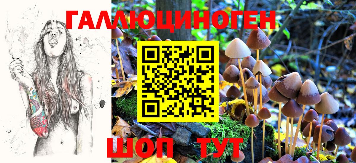 Галлюциногенные грибы Psilocybine cubensis  Вход с VPN  Сафоново  Галлюциногенные грибы Magic Shrooms 